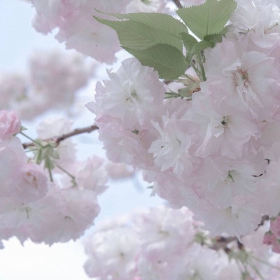 兽设动态姿势绘画参考FurryQQ群